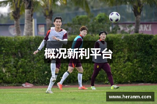 概况新利平台